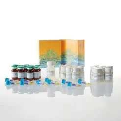 Dual-Luciferase Reporter Assay System 1000tests 1000 tests