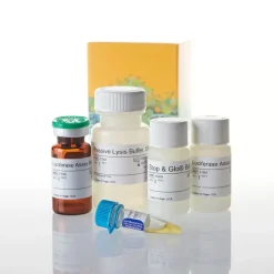 Dual-Luciferase Reporter Assay System 100tests 100 tests