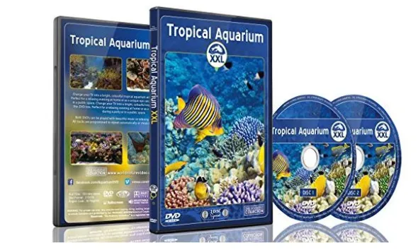 DVD ambiance - Aquarium Tropical