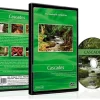 DVD ambiance - Cascades