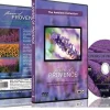 DVD ambiance - Fleurs de Provence