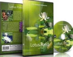 DVD ambiance - Étang aux lotus