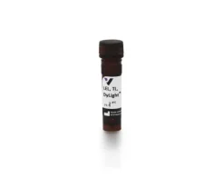 Dylight 488 lycopersicon esculentum lectin 1 mg