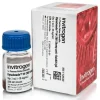 Dynabeads m-280 sheep anti-rabbit µgg-2 ml