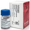 Dynabeads m-280 streptavidin-2 ml
