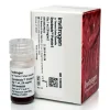Dynabeads protein g for immunoprecipitation-1 ml