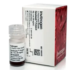 Dynabeads protein g for immunoprecipitation-1 ml