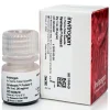 Dynabeads protein g for immunoprecipitation-5 ml