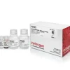 Dynabeads protein g immunoprecipitation kit-40 réactions