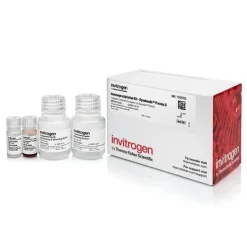 Dynabeads protein g immunoprecipitation kit-40 réactions