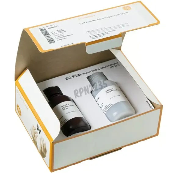 Ecl select wb detection reagent 100ml ou 1000cm2