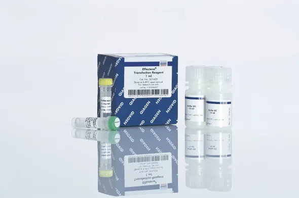 Effectene Transfection Reagent (1 ml)