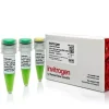 E-gel ultra low range dna ladder-100 applications