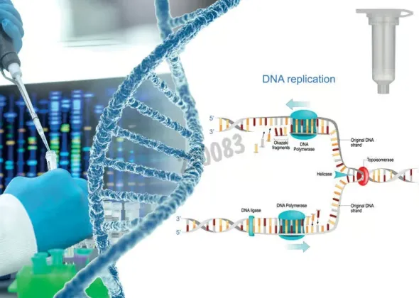Enzyme de restriction haeiii 3000 unités