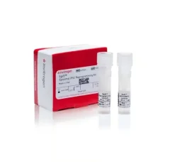 Epi5 episomal ipsc reprogramming kit-1 kit