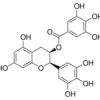 (-)-Epigallocatechin gallate 95%, 50 mg