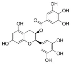 (-)-Epigallocatechin gallate 95%, 50 mg