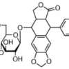 Etoposide, united states pharmacopeia (u 300mg 300 mg