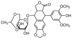 Etoposide, united states pharmacopeia (u 300mg 300 mg