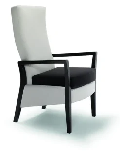 Fauteuil Iris C - dossier fixe haut accoudoirs bois