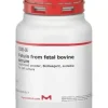 Fetuin from fetal bovine serum 1 g