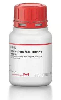 Fetuin from fetal bovine serum 1 g