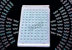 Film adhésif PCR thermalseal stérile x 100