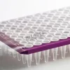 Film adhésif transparent très forte adhérence pour PCR x 100