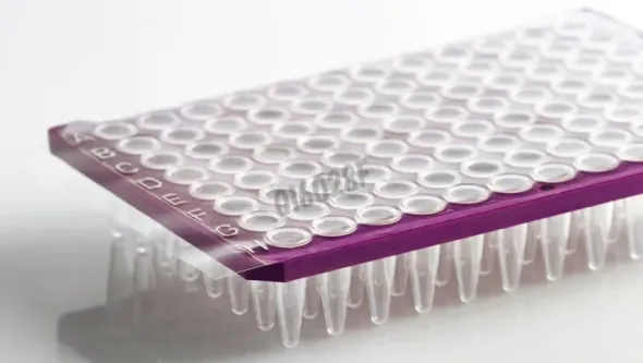 Film adhésif transparent très forte adhérence pour PCR x 100