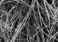 Filtre en fibres de verre sans liant, Ap40, 47 mm x 100