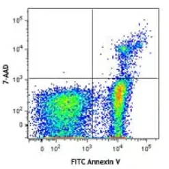 FITC Annexin V Apoptosis Detection Kit with 7-AAD 100 tests