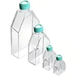 Flacon de culture cellulaire surface traitée stérile 25 ml x 200