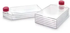 Flacon de culture millicel 3 plateaux t-600 stérile x 16