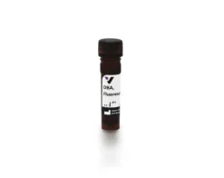 Fluorescein dolichos biflorus agglutinin 2 mg