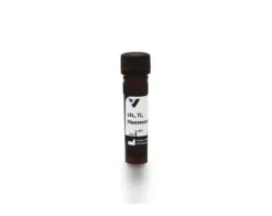 Fluorescein lycopersicon esculentum lectin 1 mg
