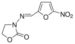 Furazolidone, 10 g