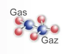 GAZ ETALON 0.8 L 5% CO2, 16 % O2 N2 (REMPLISSAGE)