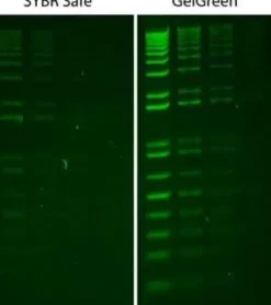 GELGREEN NUCLEICACIDSTAIN(10,000XWATER) 0.5 ML