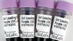 Gel Loading Dye, Purple (6X), no SDS 4 µg