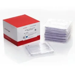 Gel NUPAGE 10% bis-tris mini 1,5 mm 15 puits x 10