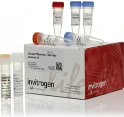 Geneart genomic cleavage detection kit-20 réactions