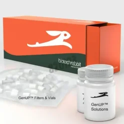 Genup pcr cleanup kit 250 Réactions
