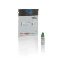 Gfp brightcomp ebeads compensation bead kit-25 tests