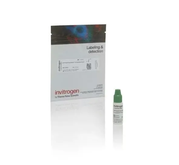 Gfp brightcomp ebeads compensation bead kit-25 tests