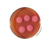Gélose pour bacillus cereus 20 btes 90mm