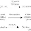 Glucose oxidase type x-s from 10 KU