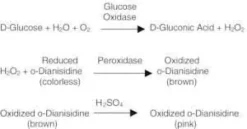 Glucose oxidase type x-s from 50ku 50 KU