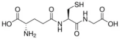 Glutathione, united states pharmacopeia 300mg 300 mg