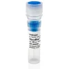Glycoblue coprecipitant (15 µg/ml)-300 µL