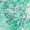 GMS II Staining Kit ref 05412749001 tranche 4